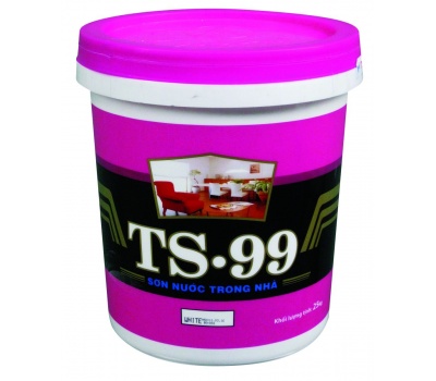  TS-99