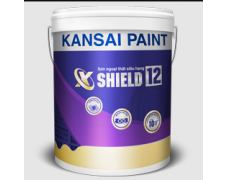 Sơn ngoại thất siêu hạng X-SHIELD 12