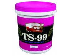  TS-99